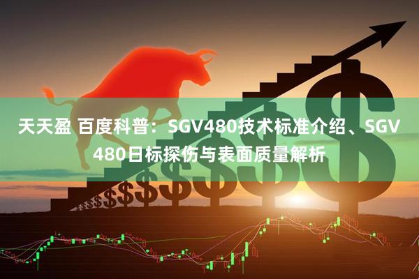 天天盈 百度科普:SGV480技术标准介绍、SGV480日标探伤与表面质量解析